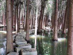 -捞渔河湿地公园