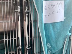 -派美特宠物医院·核磁CT·骨科肿瘤·疑难转诊(沈农禾丰店)