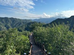 -大岭沟猕猴桃谷风景区