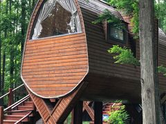 -黄海国家森林公园