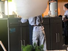 盆栽棉花糖-小大董·烤鸭(观景餐厅·南京西路店)