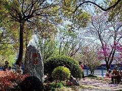 -高东镇樱花园
