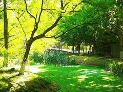 -长白岛森林公园