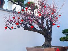 -龙华寺