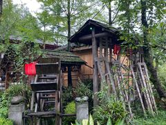 -青城甲(青城山店)