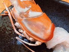 -Hatsune隐泉日式料理(SKP店)