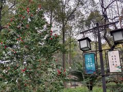 -成都市文殊院