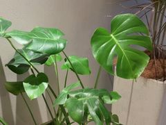 -泰合玺·精油疗愈 SPA(南京河西万达店)