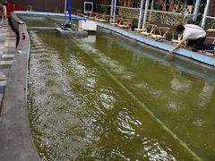 -光头佬室内钓虾场·烧烤·团建·亲子(中山八路店)