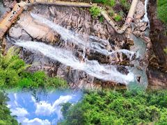 -广州白江湖森林公园