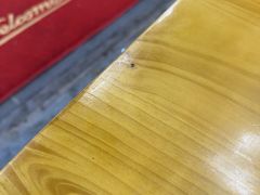 -诚如金·南宁本地菜(信息港店)