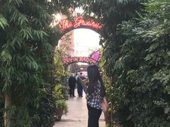 -The Grounds of Alexandria