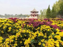 -盛世南宫影视城(北普陀影视城)