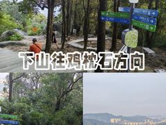 -火炉山森林公园