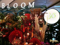-BoBloom花店(晶耀前滩店)