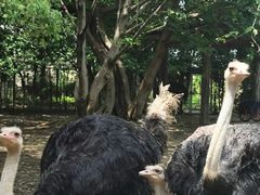 -南昌动物园