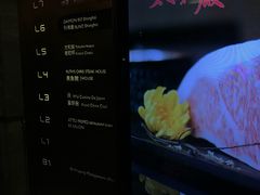 -外滩5号