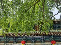 -豫丰汇河南名菜楼(武记餐饮)