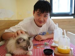 -滚猫咖啡·猫咖·猫友好撸猫(未来城店)