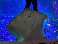 -沈阳海洋探索中心