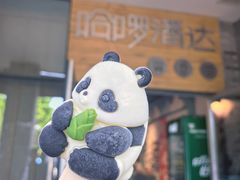 -都江堰中华大熊猫苑