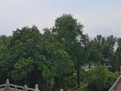 -洛阳白马寺
