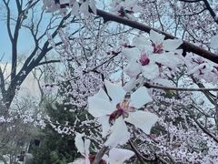 -碑林公园
