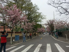 android_upload_pic-八大关景区