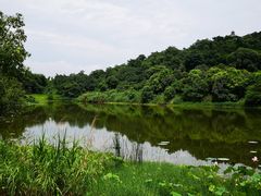 -福建鲤鱼洲酒店