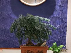 -楚山晓·湖北菜(武汉光谷K11店)