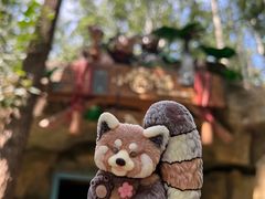 -北京野生动物园