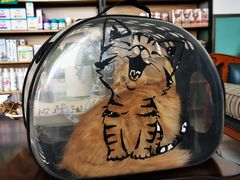 -欧奕国际动物医院