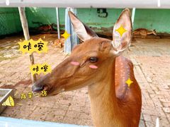 -1982农场