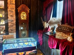 -雪灵魔法世界SHELLY’S TAROT(大良桂畔里店)