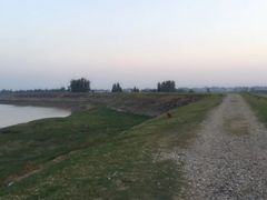 -湖南东洞庭湖国家级自然保护区