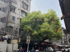 -溪岸路花鸟市场