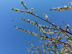 -广州市流溪河国家森林公园