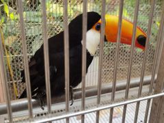 -南宫五洲植物乐园