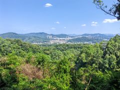 -火炉山森林公园
