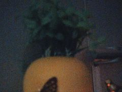 -至尊名仕·中泰按摩·养生SPA会所