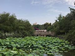 -成都南湖公园