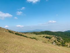 -大姆山草场