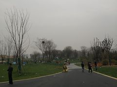 -盘龙城国家考古遗址公园