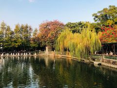 -东莞市可园博物馆