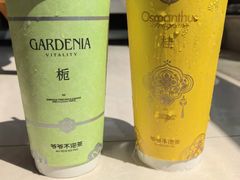 -呈贡滇池生态湿地公园