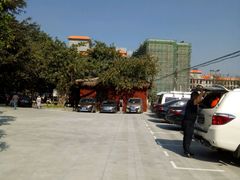 -瑞丽独树成林风景区