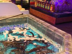 -山河屯铁锅炖鲜鹅·东北菜(开发区一店)