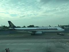 -新加坡航空公司(ION)