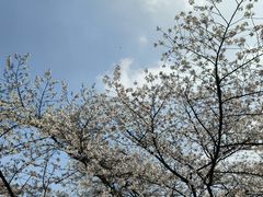 -杭州少年儿童公园