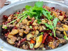 -食神又名厕所兔